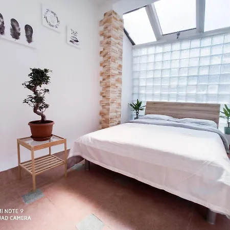 Blue Sails Izola, Old Center Apartment *