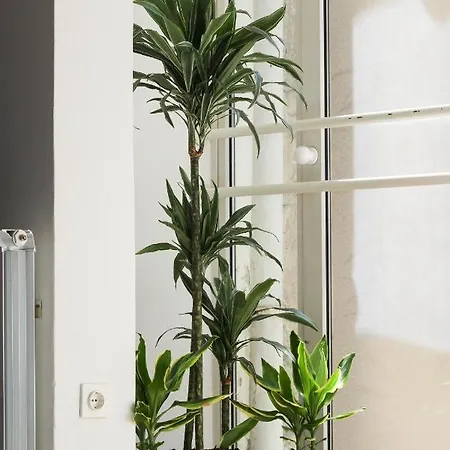 Blue Sails Izola, Old Center Apartamento