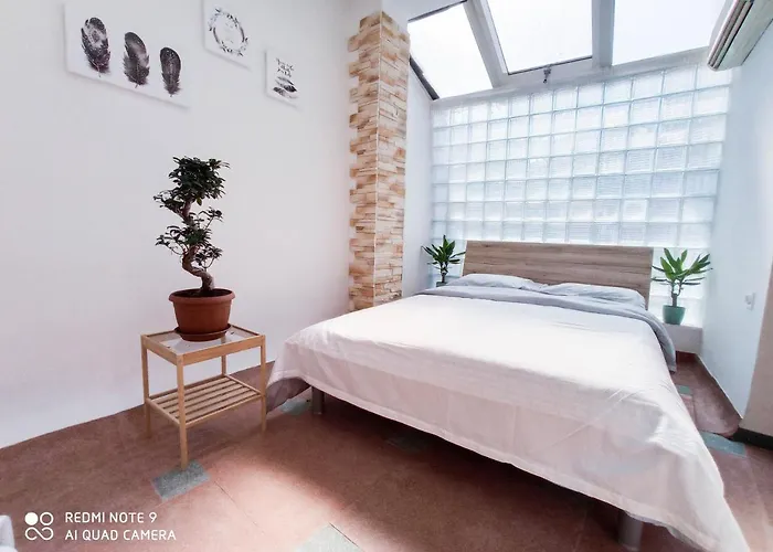 Blue Sails Izola, Old Center アパート *