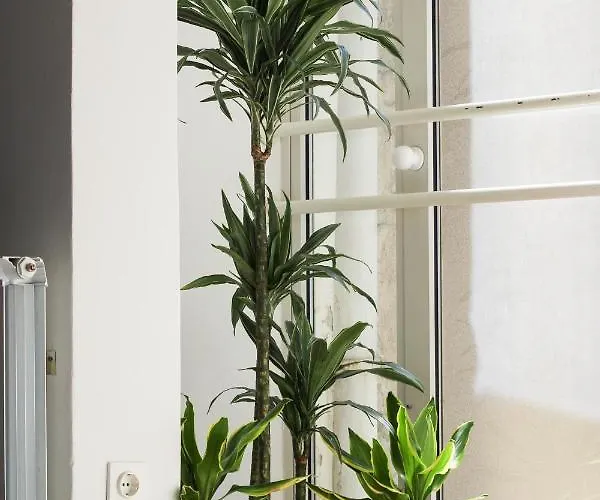 Blue Sails Izola, Old Center アパート